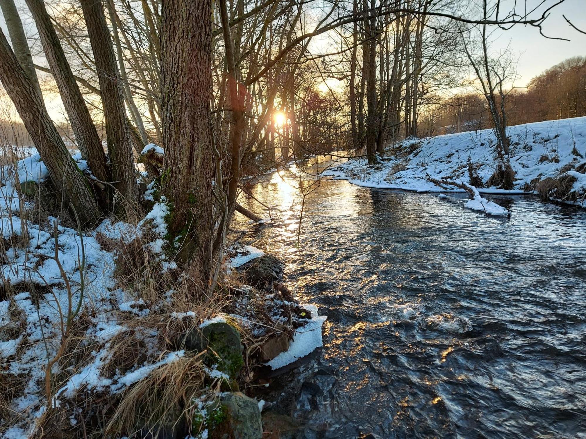 霍博里克酒店 Schönau an der Brend 外观 照片